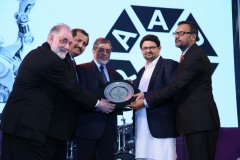 Special Award PAPS 2017