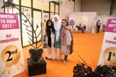 PAPS 2017 Art Competition